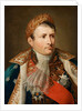 Portrait of Emperor Napoleon I Bonaparte by Andrea the Elder Appiani