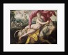 Rape of Europa, 1572 by Maarten de Vos