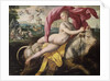 Rape of Europa, 1572 by Maarten de Vos
