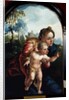 Virgin and Child, 1530 by Jan van Scorel