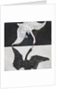 Group IX/SUW, No. 1, The Swan, No. 1, 1914-1915 by Hilma af Klint