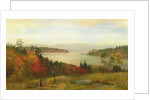 Raquette Lake, 1869 by Homer Dodge Martin