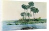 St. John's River, Florida, 1890 by Winslow Homer
