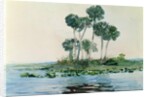 St. John's River, Florida, 1890 by Winslow Homer