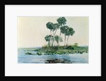 St. John's River, Florida, 1890 by Winslow Homer