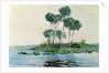St. John's River, Florida, 1890 by Winslow Homer
