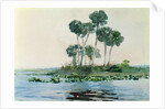 St. John's River, Florida, 1890 by Winslow Homer