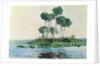 St. John's River, Florida, 1890 by Winslow Homer