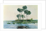 St. John's River, Florida, 1890 by Winslow Homer
