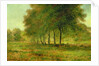 Summer by George Snr. Inness
