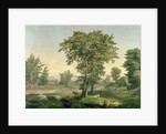 Landscape, 1846 by George Snr. Inness