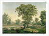 Landscape, 1846 by George Snr. Inness