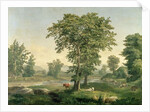 Landscape, 1846 by George Snr. Inness