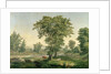 Landscape, 1846 by George Snr. Inness