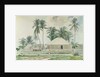 Cabins, Nassau, 1885 by Winslow Homer