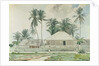 Cabins, Nassau, 1885 by Winslow Homer