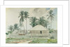 Cabins, Nassau, 1885 by Winslow Homer
