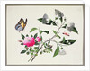 Flower Study and Insects by School Chinese