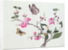 Japonica, Magnolia and Butterflies by School Chinese