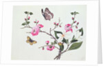 Japonica, Magnolia and Butterflies by School Chinese