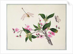 Cherry Blossom Dragonfly and Butterfly by School Chinese