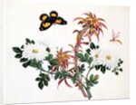 Two Stems of Amaranthus and Chrysanthemum with a Wasp and a Butterfly by School Chinese