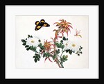 Two Stems of Amaranthus and Chrysanthemum with a Wasp and a Butterfly by School Chinese