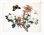 Two Stems of Amaranthus and Chrysanthemum with a Wasp and a Butterfly by School Chinese