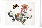Two Stems of Amaranthus and Chrysanthemum with a Wasp and a Butterfly by School Chinese