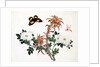 Two Stems of Amaranthus and Chrysanthemum with a Wasp and a Butterfly by School Chinese