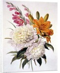 Sprays of Gladioli, Peonies and Lilium Bulbiferum by Henriette Gertruide Knip