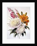Sprays of Gladioli, Peonies and Lilium Bulbiferum by Henriette Gertruide Knip