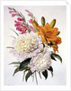 Sprays of Gladioli, Peonies and Lilium Bulbiferum by Henriette Gertruide Knip