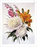 Sprays of Gladioli, Peonies and Lilium Bulbiferum by Henriette Gertruide Knip