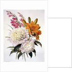 Sprays of Gladioli, Peonies and Lilium Bulbiferum by Henriette Gertruide Knip