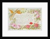 A surround of mixed flowers with an inscribed message by Joseph Banks, 1814 by Francis Bauer