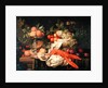 Still Life with Lobster, 1660 by Joris van Son