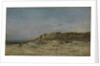 Plage de Villerville, Normandy, 1875 by Charles Francois Daubigny