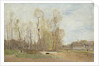 Auvers-sur-Oise: Daubigny's pond, c.1855 by Jean Baptiste Camille Corot