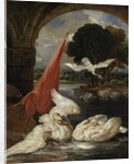 The Descent of the Swan by James Ward
