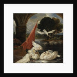 The Descent of the Swan by James Ward