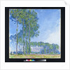 Poplars, 1891 by Claude Monet