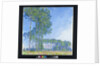 Poplars, 1891 by Claude Monet
