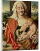 Madonna and Child, c.1525-30 by Joos van Cleve
