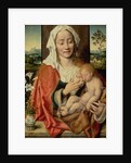 Madonna and Child, c.1525-30 by Joos van Cleve