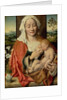 Madonna and Child, c.1525-30 by Joos van Cleve