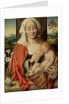 Madonna and Child, c.1525-30 by Joos van Cleve