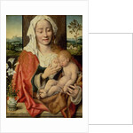 Madonna and Child, c.1525-30 by Joos van Cleve