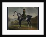 Joseph Smyth Esquire, Lieutenant of Whittlebury Forest, Northamptonshire, on a Dapple Grey Horse, c.1762-64 by George Stubbs
