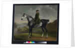 Joseph Smyth Esquire, Lieutenant of Whittlebury Forest, Northamptonshire, on a Dapple Grey Horse, c.1762-64 by George Stubbs